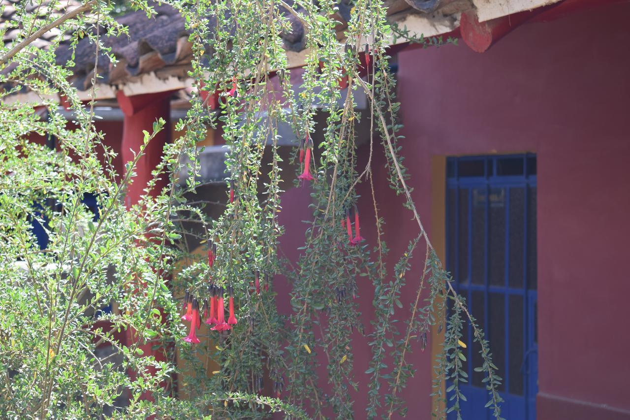 La Casita De Mi Abuela Vandrarhem Mancos Exteriör bild